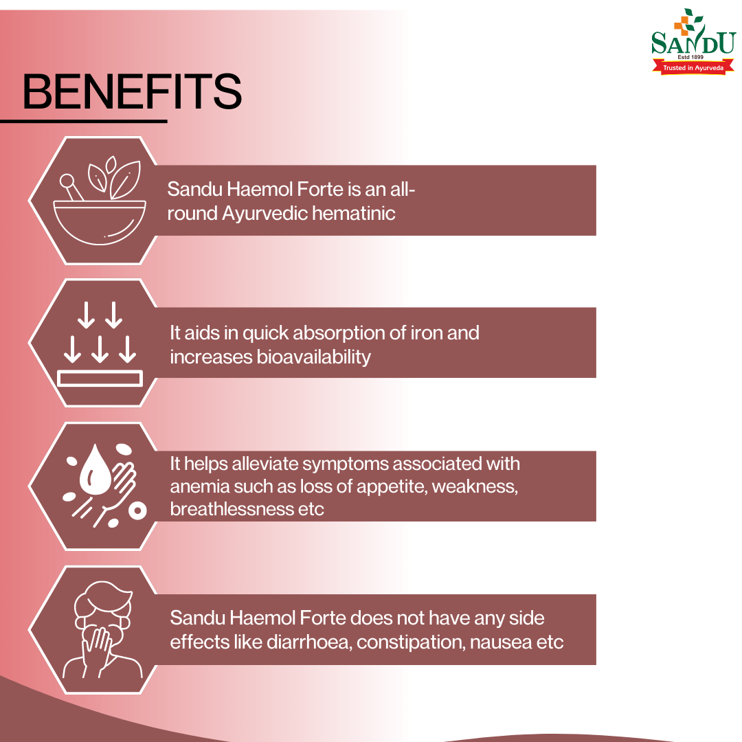 Sandu Haemol Forte (60 Tabs) - Image 4